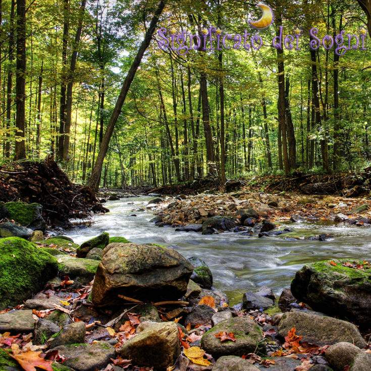 fiume in sogno significato